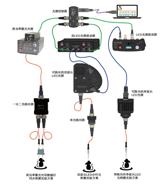 光遗传实验方案-2