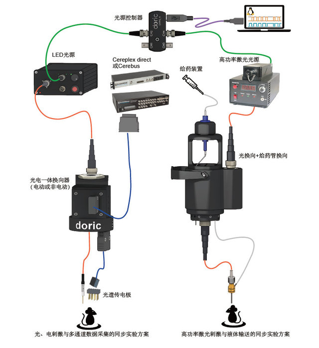 光遗传实验方案-1