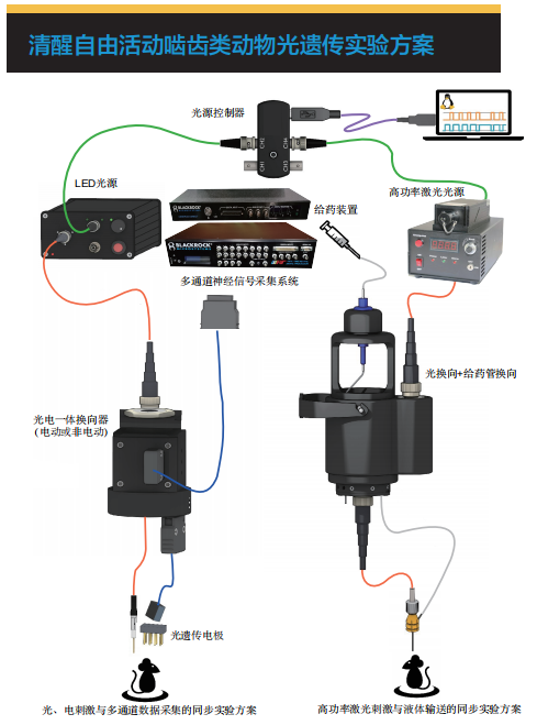 动物神经电生理结合给药实验方案.png